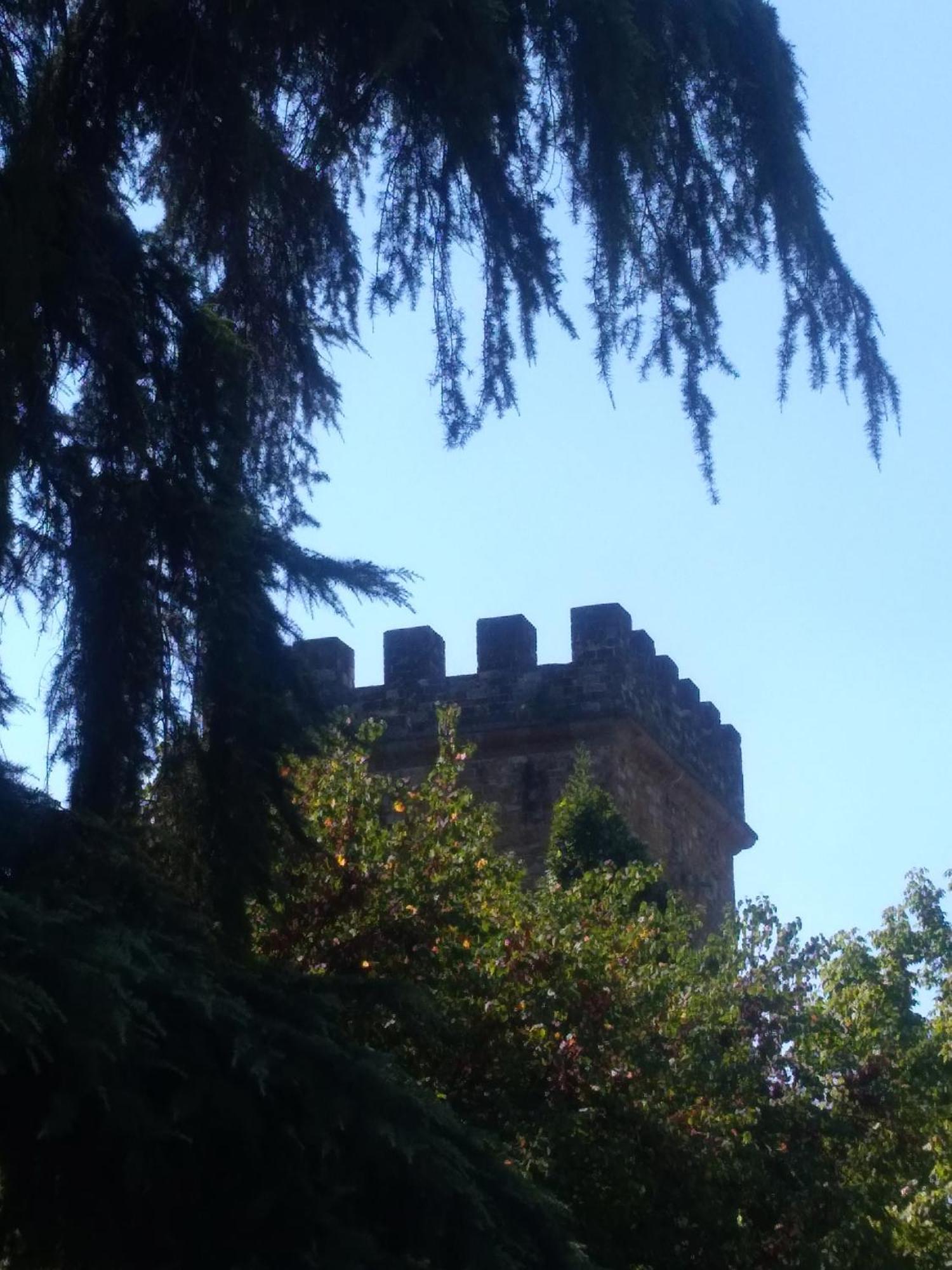 Movie Star With Garden Apartment Florenz