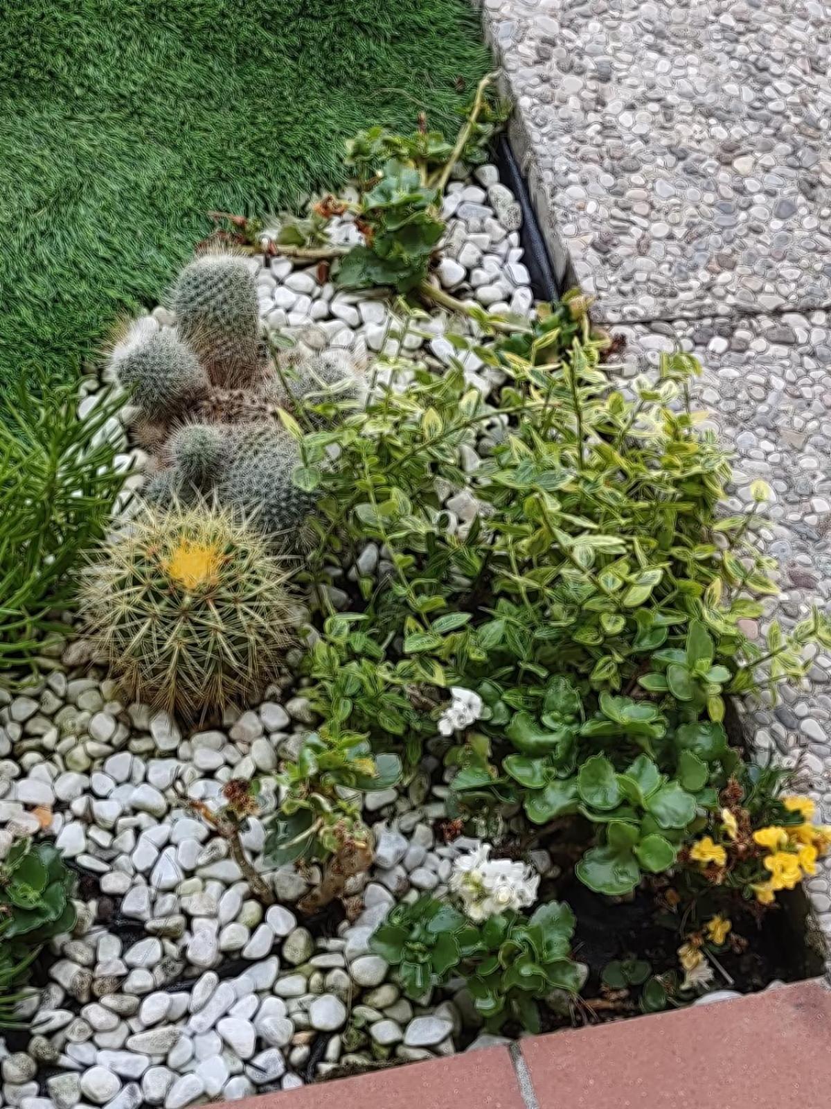 Apartment Movie Star With Garden Florenz