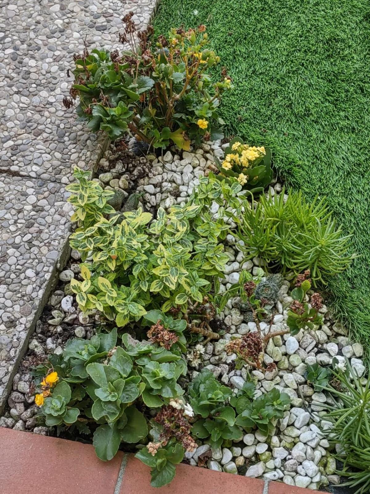 Apartment Movie Star With Garden Florenz